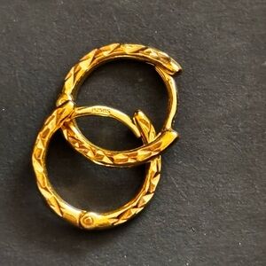 Elegant Gold Hoop Earrings